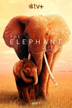 The Elephant Queen - FRENCH HDRip