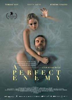 A Perfect Enemy - FRENCH WEBRip
