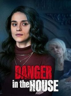Danger in the House - FRENCH WEBRip