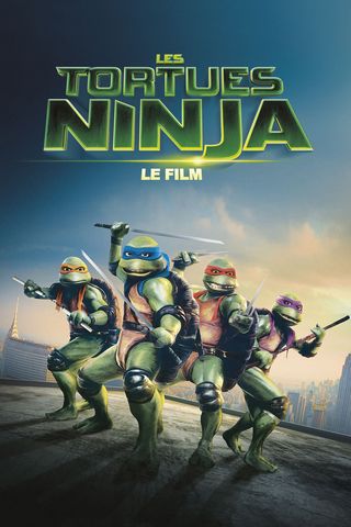 Les Tortues Ninja DVDRIP MKV French