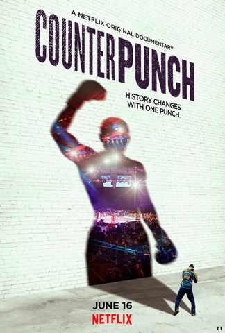 CounterPunch WEB-DL 720p French