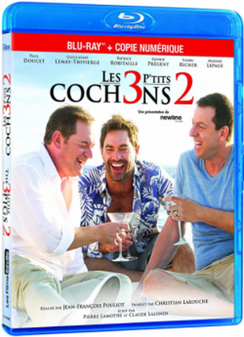 Les 3 p'tits cochons 2 Blu-Ray 720p French