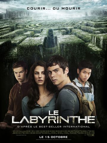 Le Labyrinthe BDRIP French