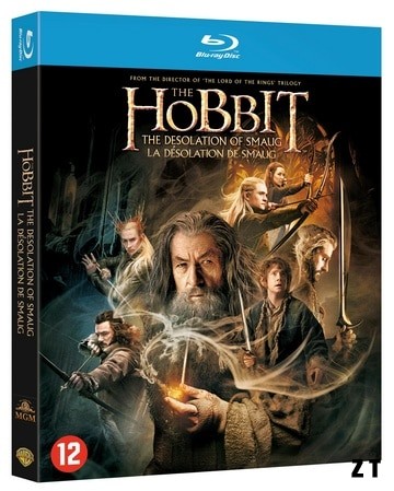 Le Hobbit : la Desolation de Smaug Blu-Ray 1080p MULTI