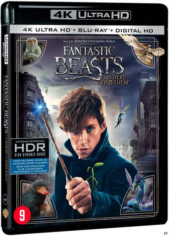 Les Animaux fantastiques ULTRA HD x265 French