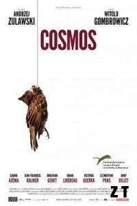 Cosmos BDRIP French