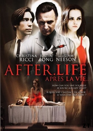 After Life BRRIP French
