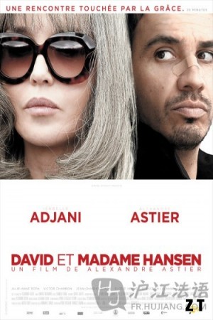 David et Madame Hansen BDRIP French