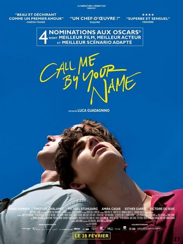 Call Me by Your Name DVDRIP MKV French