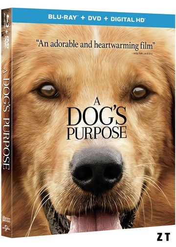 Mes vies de chien Blu-Ray 720p French