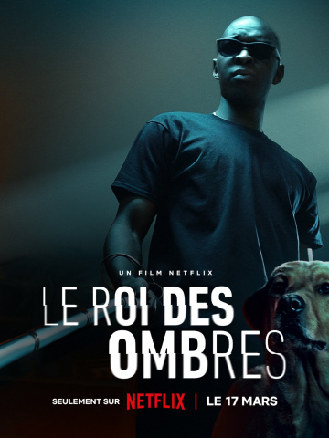 Le Roi des Ombres - FRENCH HDRIP