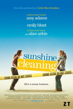 Sunshine Cleaning DVDRIP French