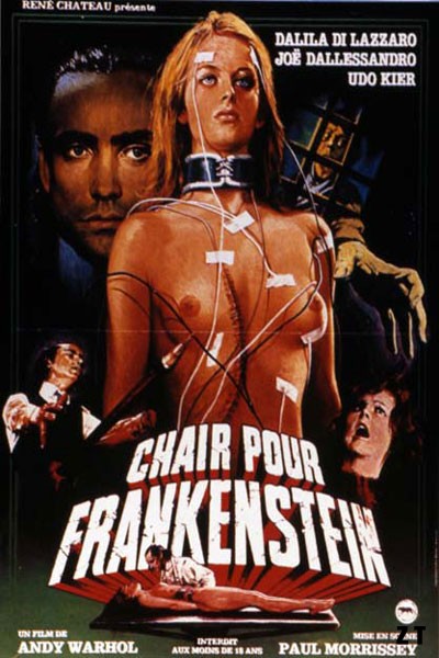 Chair pour Frankenstein DVDRIP MKV MULTI