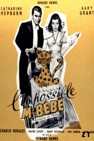 L'Impossible M. Bebe DVDRIP French