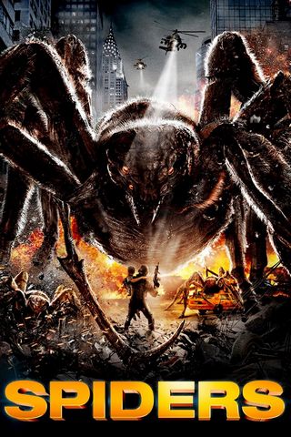 Spiders DVDRIP French