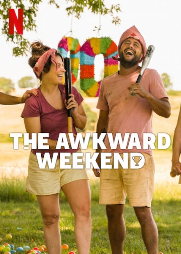 The Awkward Weekend - FRENCH HDRIP
