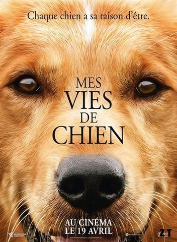 Mes vies de chien BDRIP French