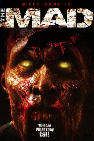 Mad zombies DVDRIP French