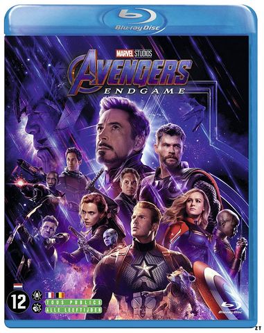 Avengers: Endgame Blu-Ray 720p French