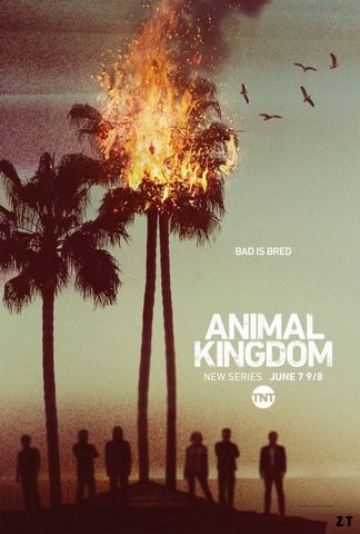 Animal Kingdom - Saison 1 HD 1080p French