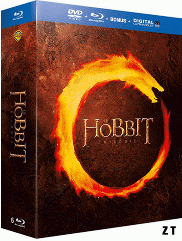 Le Hobbit - L'Intégrale HDLight 1080p MULTI