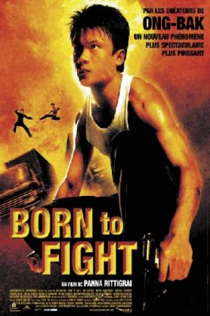 Born to Fight DVDRIP French