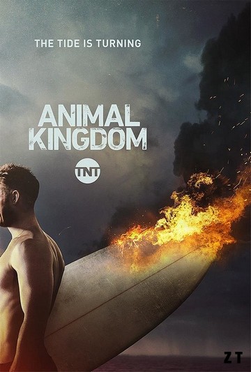 Animal Kingdom 2016 - Saison 2 HDTV VOSTFR