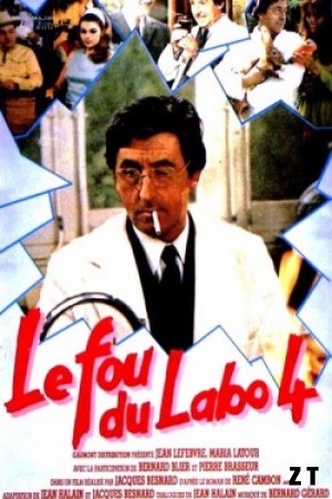 Le Fou Du Labo 4 DVDRIP French