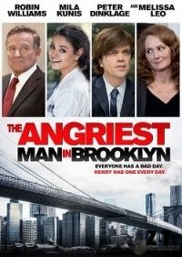 Le Angriest Homme À Brooklyn BRRIP French
