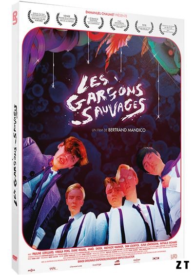 Les Garçons sauvages Blu-Ray 1080p French