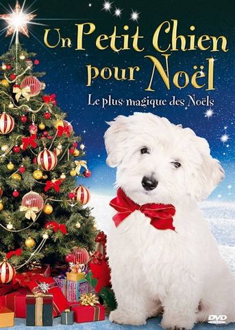 Un Petit chien pour Noël DVDRIP French