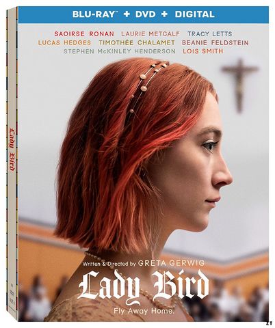 Lady Bird Blu-Ray 1080p French