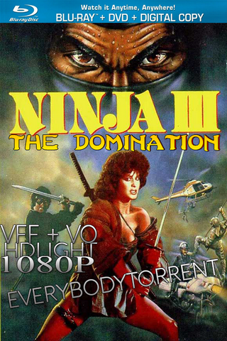 Ninja 3 : la domination HDLight 1080p MULTI