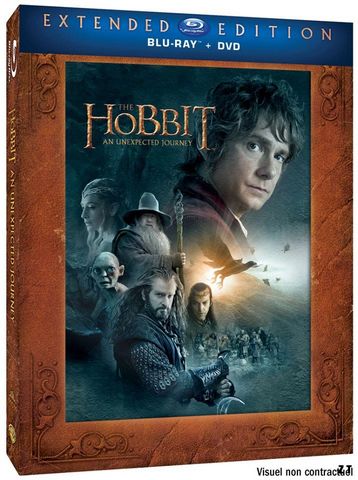 Le Hobbit : un voyage inattendu Blu-Ray 1080p MULTI