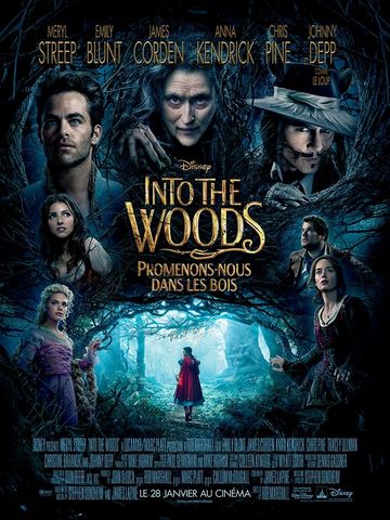 Into the Woods, Promenons-nous BDRIP French