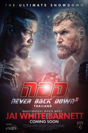 Never Back Down: No Surrender DVDRIP French