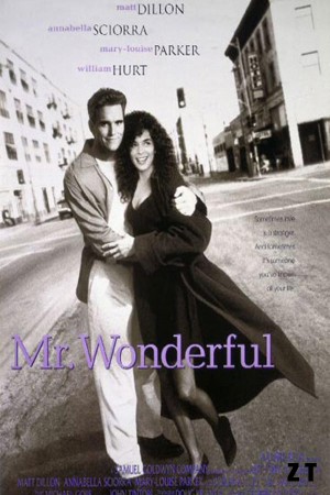 Mr. Wonderful DVDRIP MKV French
