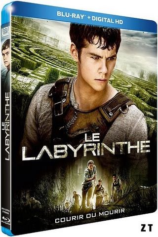 Le Labyrinthe Blu-Ray 1080p MULTI