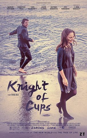 Knight of Cups HDLight 1080p TrueFrench