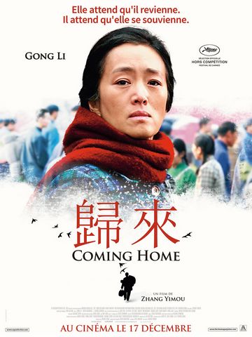 COMING HOME DVDRIP VOSTFR