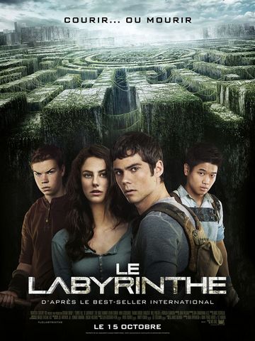 Le Labyrinthe BDRIP TrueFrench