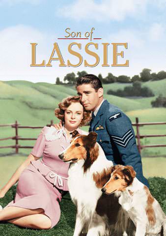 Le Fils de Lassie DVDRIP TrueFrench